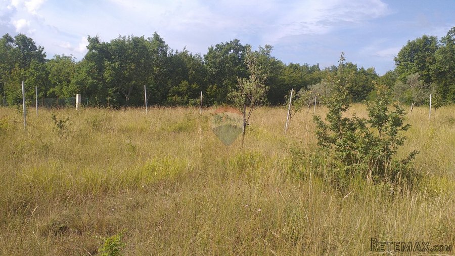 Istra, Nova Vas poljoprivredno zemljište