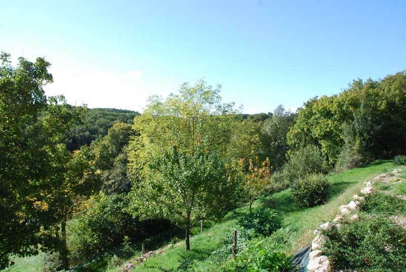 Pretty And Well Renovated Stone Country.. - 2