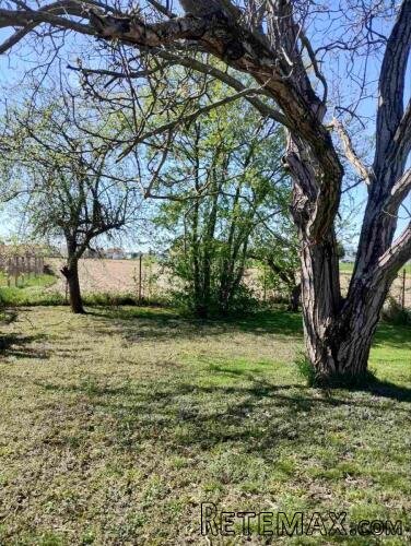 Impresivna površina zemljišta u Trnovcu - 2