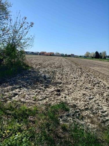Impresivna površina zemljišta u Trnovcu - 3
