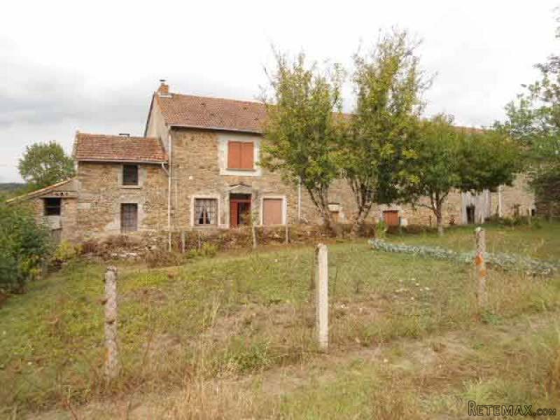 Farm Property On 11.5 Acres Of Land In.. - 2