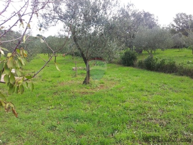 Štinjan Pula, građevinsko zemljište - 4