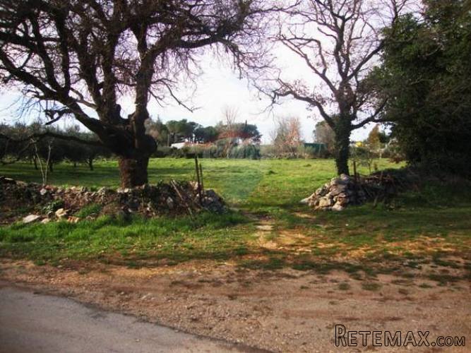 ISTRA, POMER, građevinsko zemljište 350m od mora