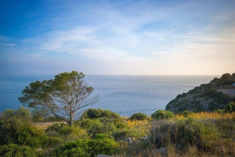 Plot in an outstanding location with.. - 2