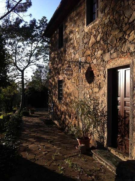 Juliet's Olive Farm