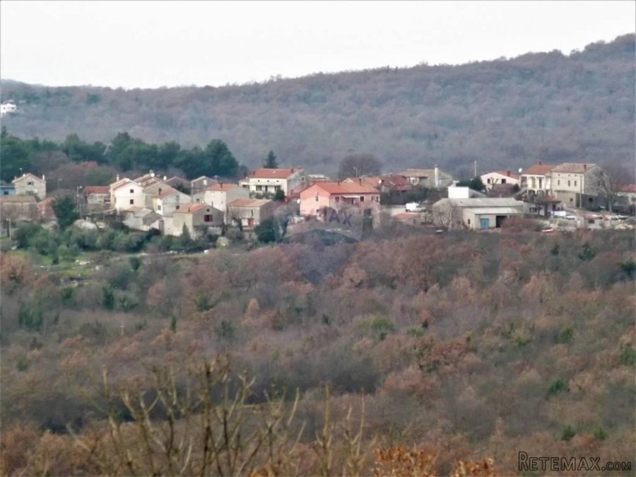 Istra,Jural veliko poljoprivredno zemljište sa mogućnošću gr - 6