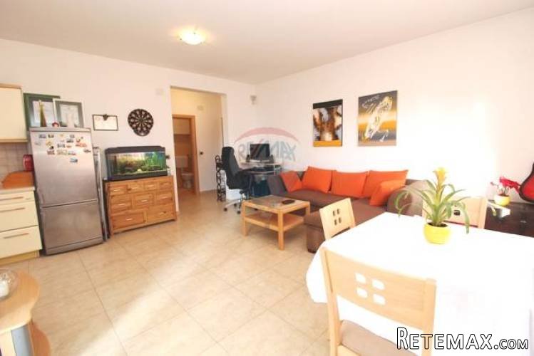 ISTRA, PREMANTURA, lijep apartman u visokom prizemlju - 3