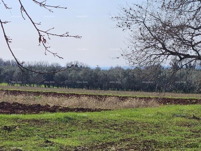 Prodaja građevinskog zemljišta s pogledom na more, Novigrad! - 2