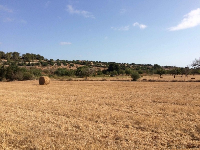 Building plot in a quiet area and open.. - 2