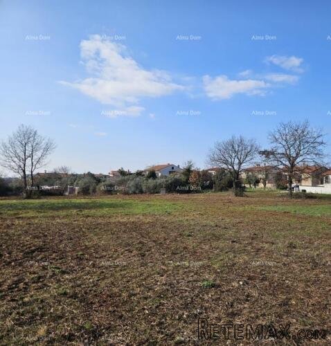 Prodaja građevinskog zemljišta s pogledom na more, Novigrad! - 4