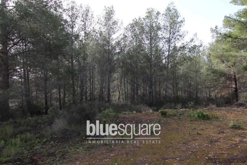 Benissa plot 30000m2 - 2