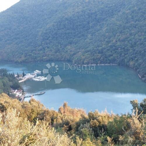 Istra, šumsko zemljište iznad Limskog kanala, 9500m2 - 2