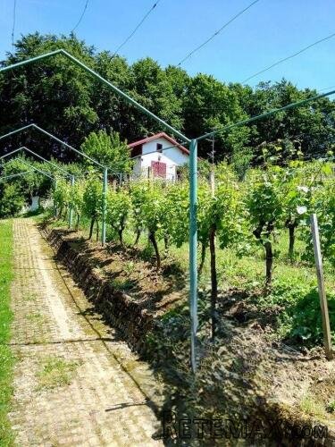 Mirna lokacija i potpuna privatnost - vikendica s vinogradom - 2