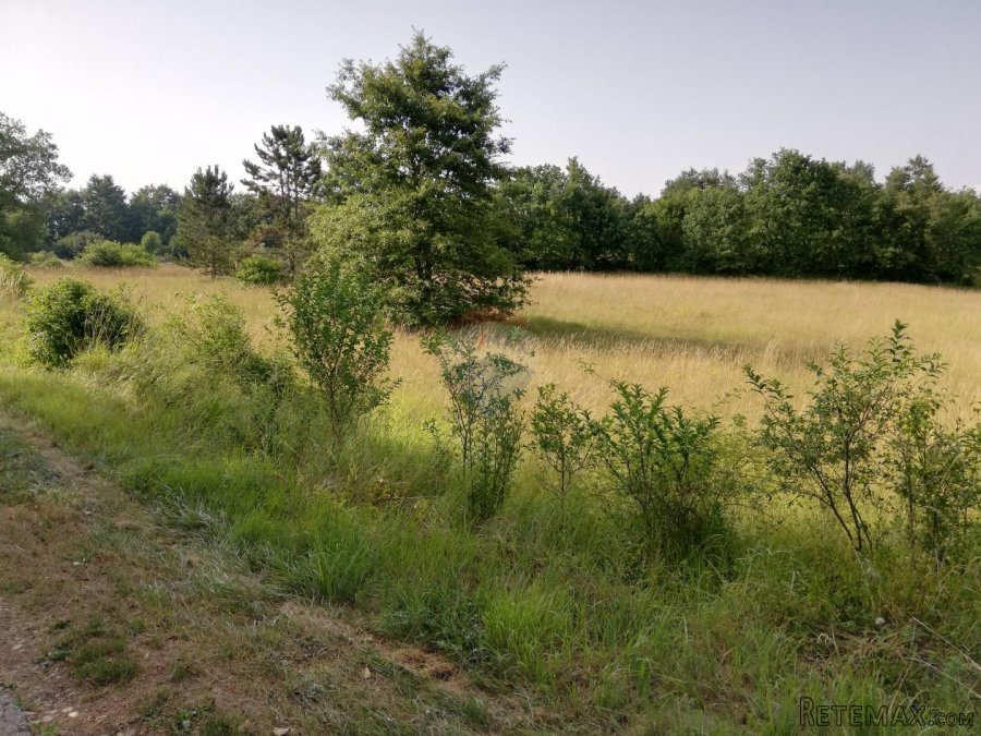 Istra, Tinjan, poljoprivredno zemljište 3274 m2