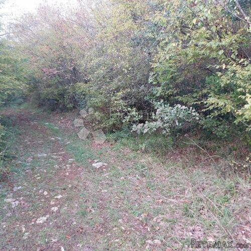 Istra, šumsko zemljište iznad Limskog kanala, 9500m2 - 3