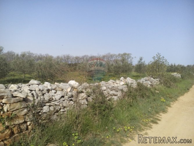 ISTRA, PREKRASNO ZEMLJIŠTE SA POGLEDOM NA BRIJUNE - 3