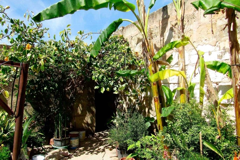 Town house to be renovated with large.. - 2