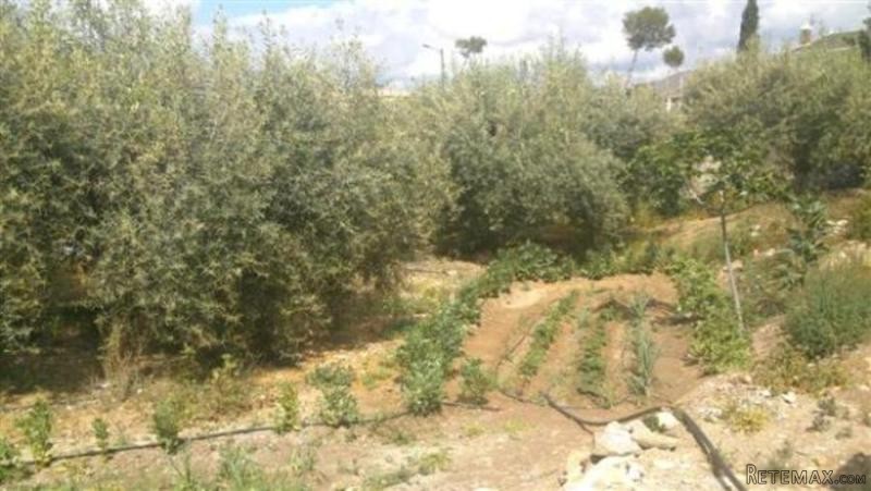 Cortijo / Country House in Zurgena - 2