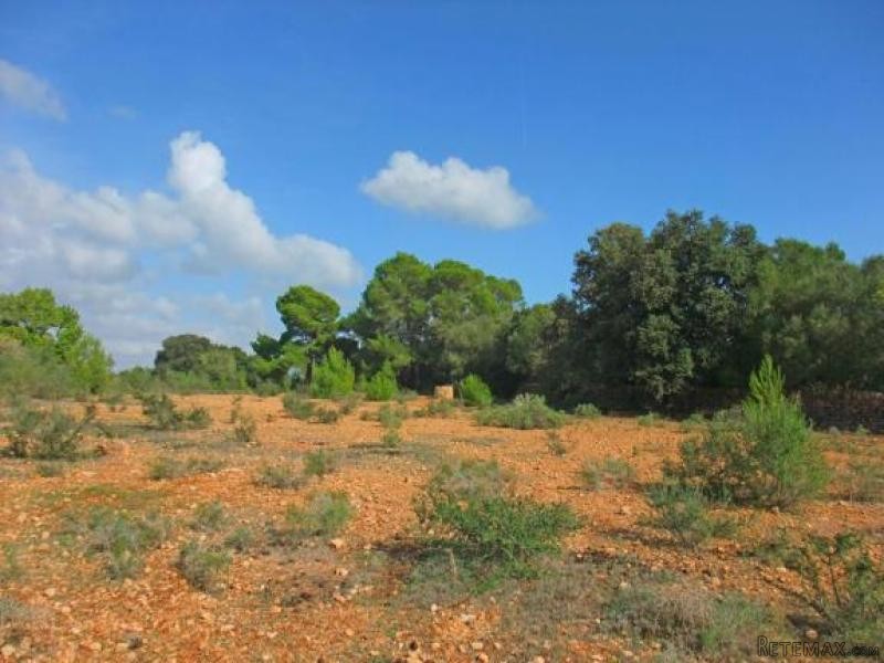 Large Plot With Perfect Location In.. - 2