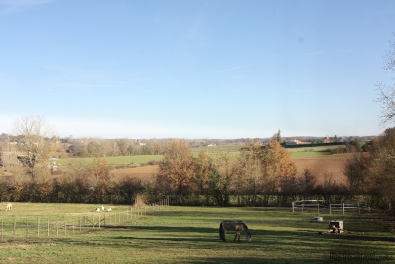 Equestrian Property With Beautiful.. - 2