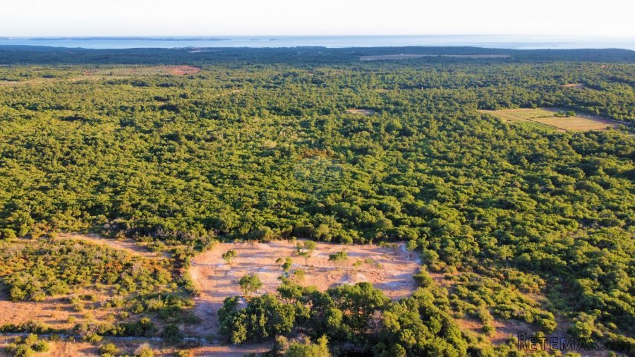 BALE, POLJOPRIVREDNO ZEMLJIŠTE S PANORAMSKIM POGLEDOM 6654m2