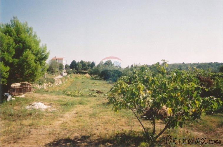 ISTRA, PREMANTURA, GRAĐEVINSKA PARCELA 1961 M2 S POGLEODM... - 5
