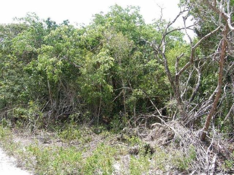 Singlefamilyvacant - Lot 15 Block 90.. - 2
