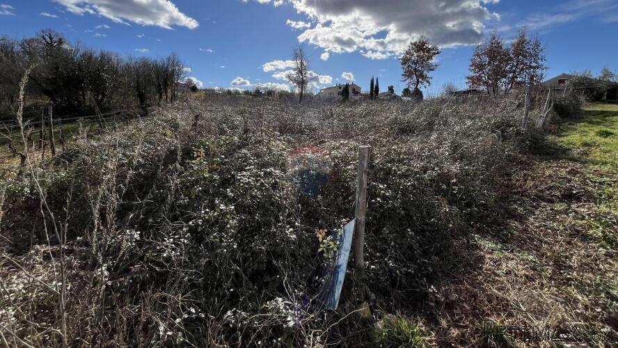 Istra, Vižinada - okolica, građevinsko zemljište otvorenog p