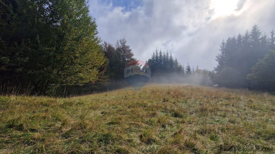 Gorski Kotar, Delnice - poljoprivredno zemljište 5100 m2 - 2