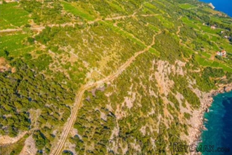Pelješac - na prodaju 7 HA vinograda - 2