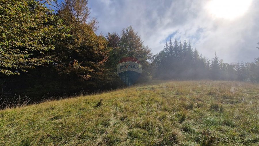 Gorski Kotar, Delnice - poljoprivredno zemljište 5100 m2 - 3