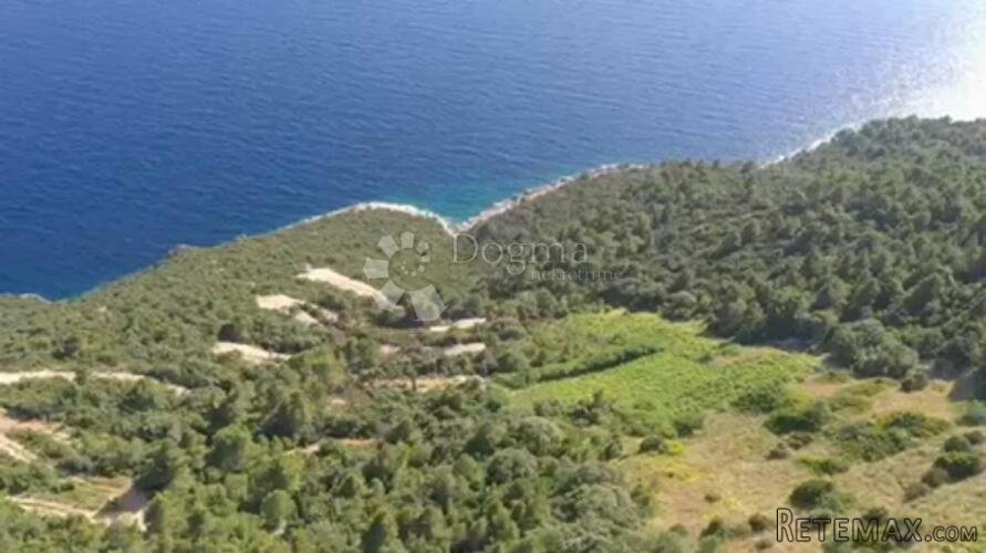 Pelješac - na prodaju 7 HA vinograda - 3
