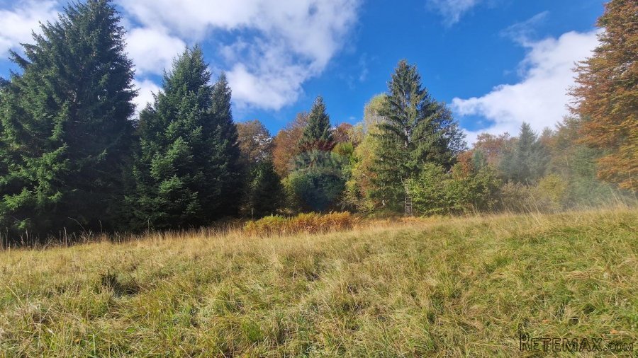 Gorski Kotar, Delnice - poljoprivredno zemljište 5100 m2 - 4