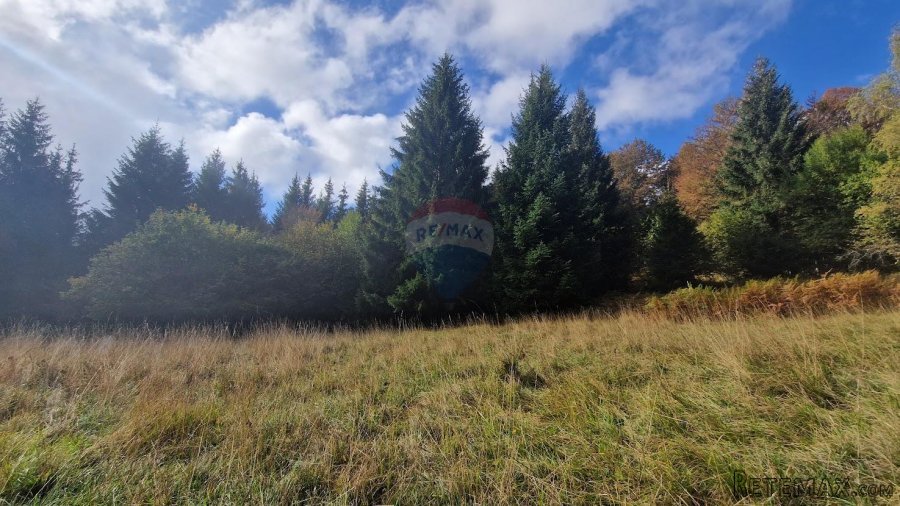 Gorski Kotar, Delnice - poljoprivredno zemljište 5100 m2 - 5