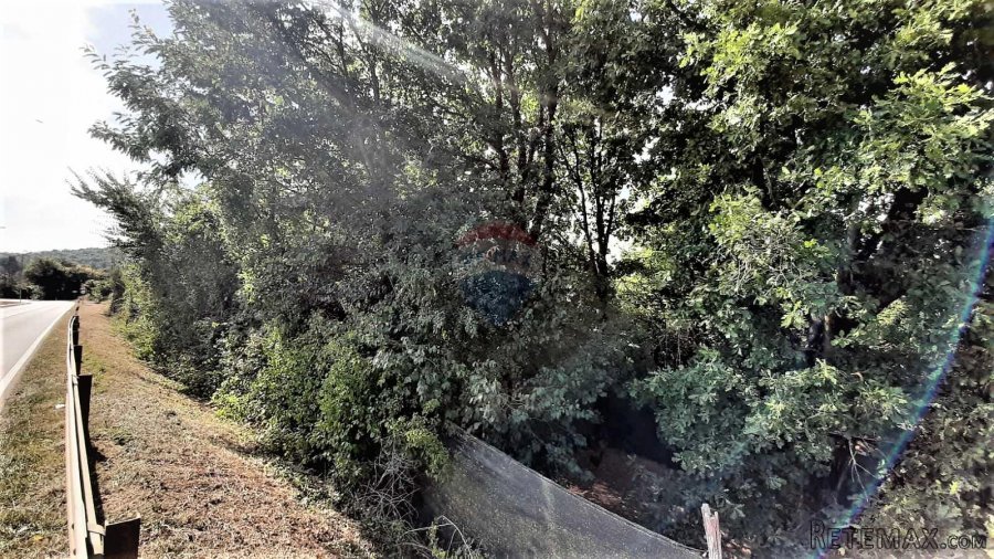 Istra, građevinsko zemljište u okolici Motovuna - 7