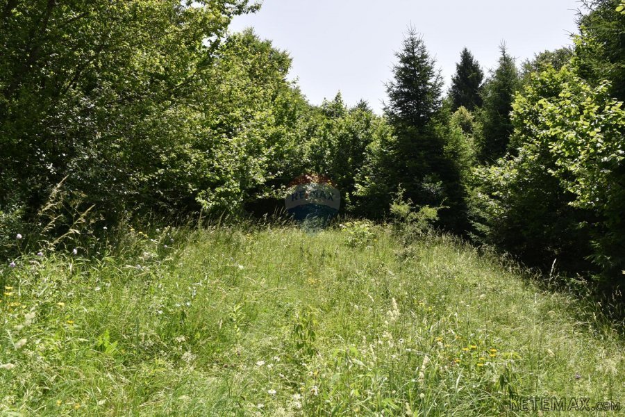 Moravice - Teren (17.500 m2)