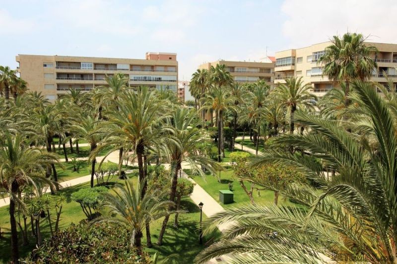 2 Bedrooms - Apartment - Alicante - For.. - 2