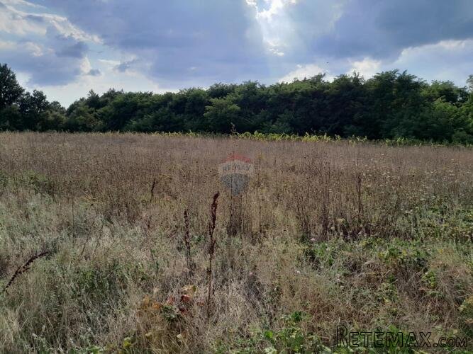 Istra,Savičenta,poljoprivredno zemljište