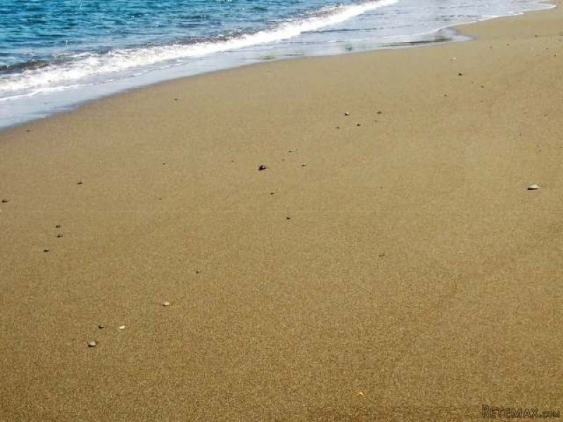 Land - St. Margaret's Bay - For Sale