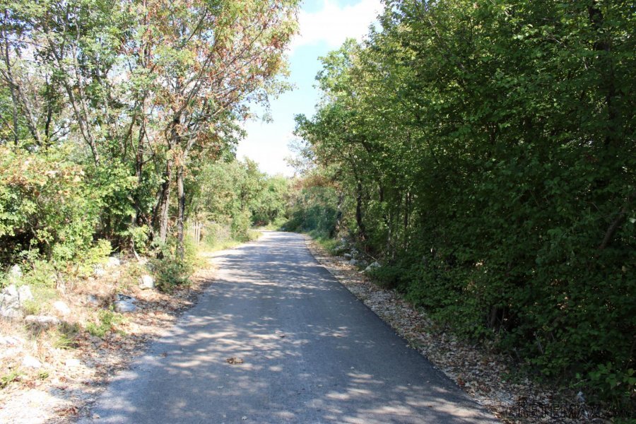 Lovreč: Veliko poljoprivredno zemljište u raskošnom zelenilu - 4