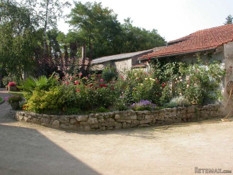 Huge Property with Income Potential