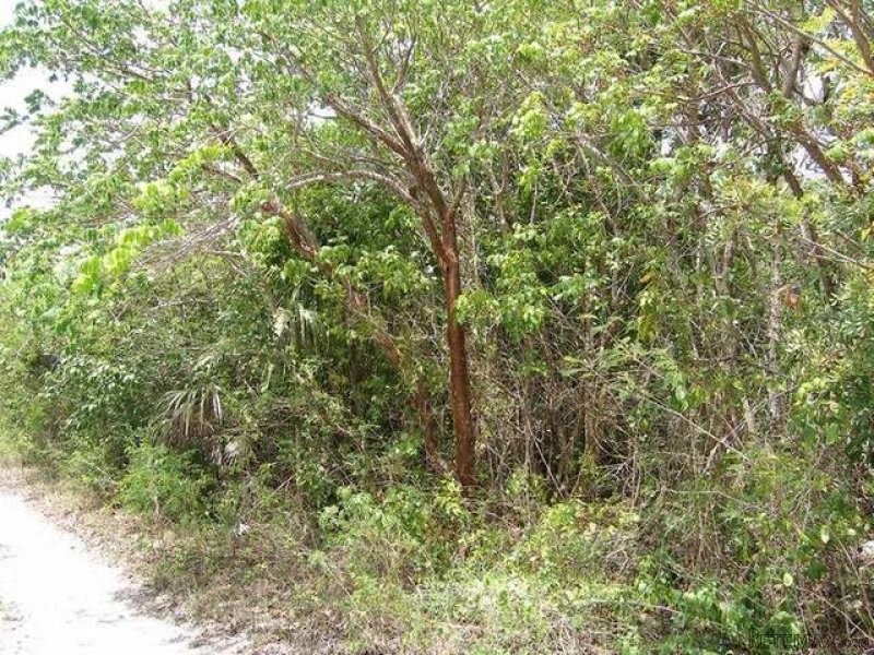 Singlefamilyvacant - Lot 15 Block 90..