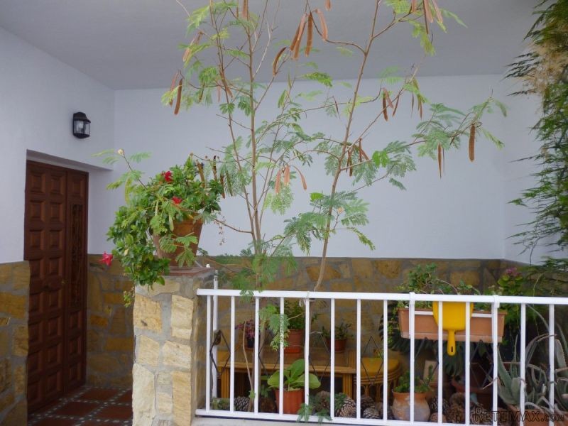 3 Bedrooms - Town House - Malaga - For..