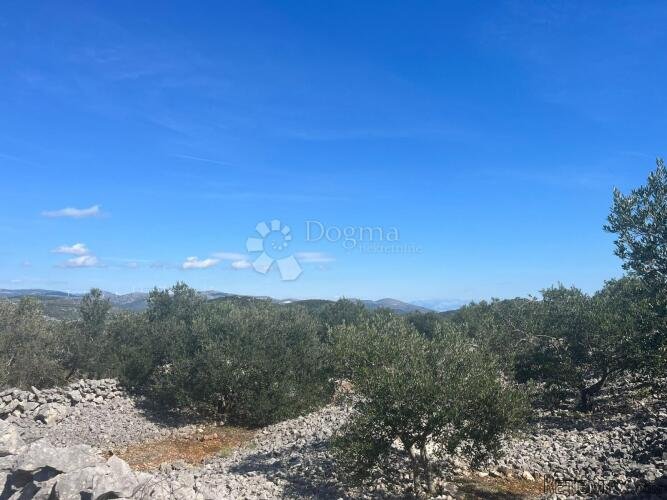 Poljoprivredno zemljište 9050 m2- Sevid