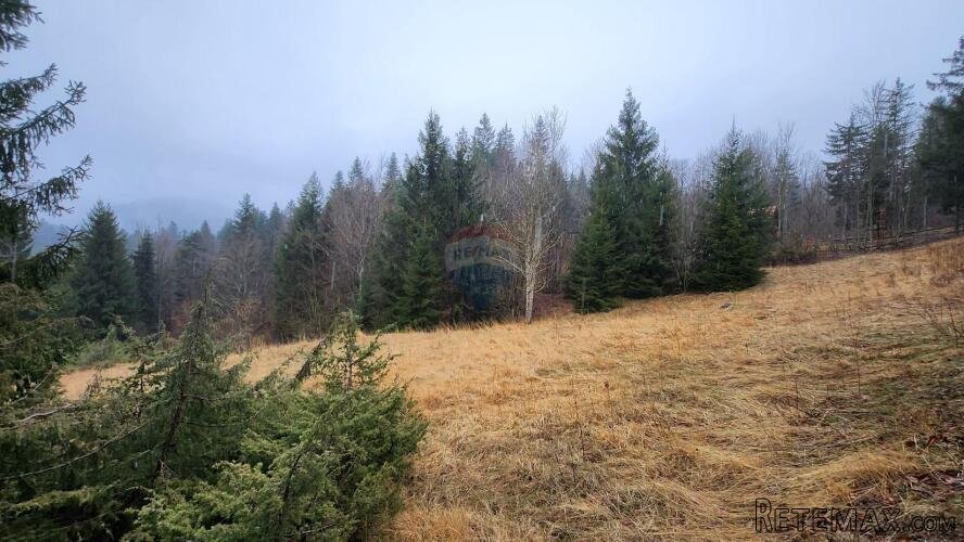 Gorski Kotar, Stari Laz - građevinski teren sa dozvolom i pr - 3