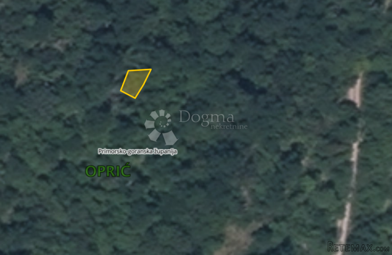 Šuma u Opriću - 3