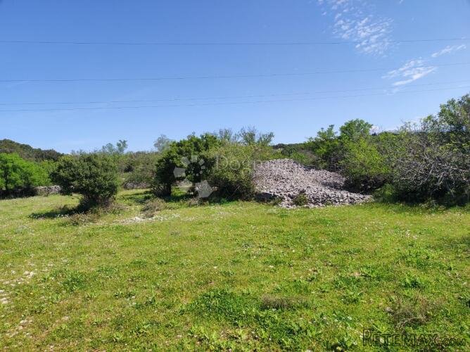 Brač, Selca – poljoprivredno zemljište 11.274 m²