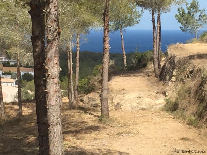 - Land - Alicante - For Sale