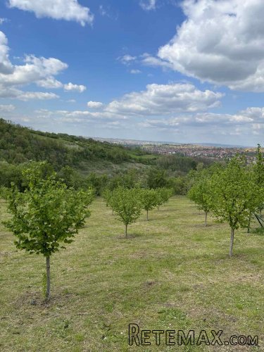 Prodajem plac 6km od centra Kragujevca - 2