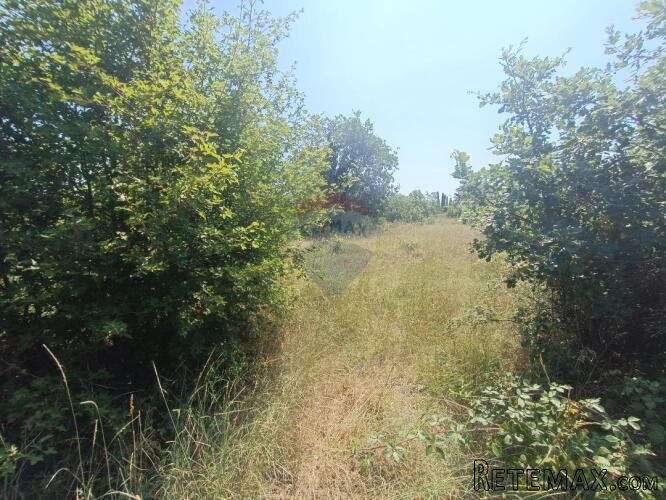 Smoljanci, građevinsko zemljište , odlično za investiciju - 2